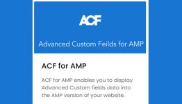 AMPforWP ACF for AMP WordPress Plugin
