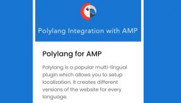 AMPforWP Polylang For AMP WordPress Plugin