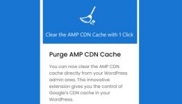AMPforWP Purge AMP CDN Cache WordPress Plugin