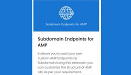 AMPforWP - Subdomain Endpoints for AMP WordPress Plugin