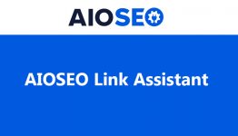 All in One SEO (AIOSEO) Link Assistant WordPress Plugin