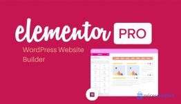 Elementor Elementor Pro Pagebuilder WordPress Plugin
