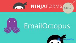 Saturday Drive - Ninja Forms EmailOctopus WordPress Plugin
