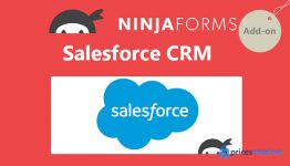 Saturday Drive - Ninja Forms Salesforce CRM WordPress Plugin