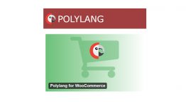 WP SYNTEX - Polylang for WooCommerce WordPress Plugin