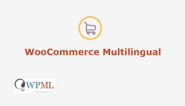 WordPress Multilingual WooCommerce Multilingual Addon