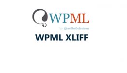 WordPress Multilingual XLIFF Addon