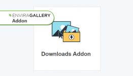 Envira Gallery - Downloads Addon WordPress Plugin