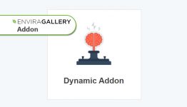 Envira Gallery - Dynamic Addon WordPress Plugin
