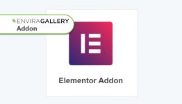 Envira Gallery - Elementor Addon WordPress Plugin