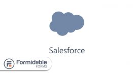 Formidable Salesforce Add-On WordPress Plugin