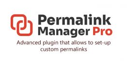 Permalink Manager Pro WordPress Plugin Lates Updates