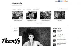 Themify Thememin Premium WordPress Theme
