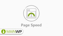 MainWP Page Speed Extension WordPress Plugin