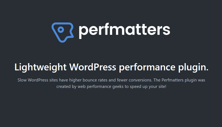 Perfmatters Lightweight WordPress Performance Plugin