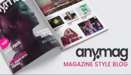 Anymag Magazine Style WordPress Blog by 3styler