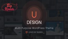 uDesign Responsive WordPress Theme Latest Updates