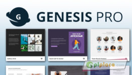 Genesis Blocks Pro Premium WordPress Plugin