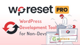WP Reset Pro Premium WordPress Plugin